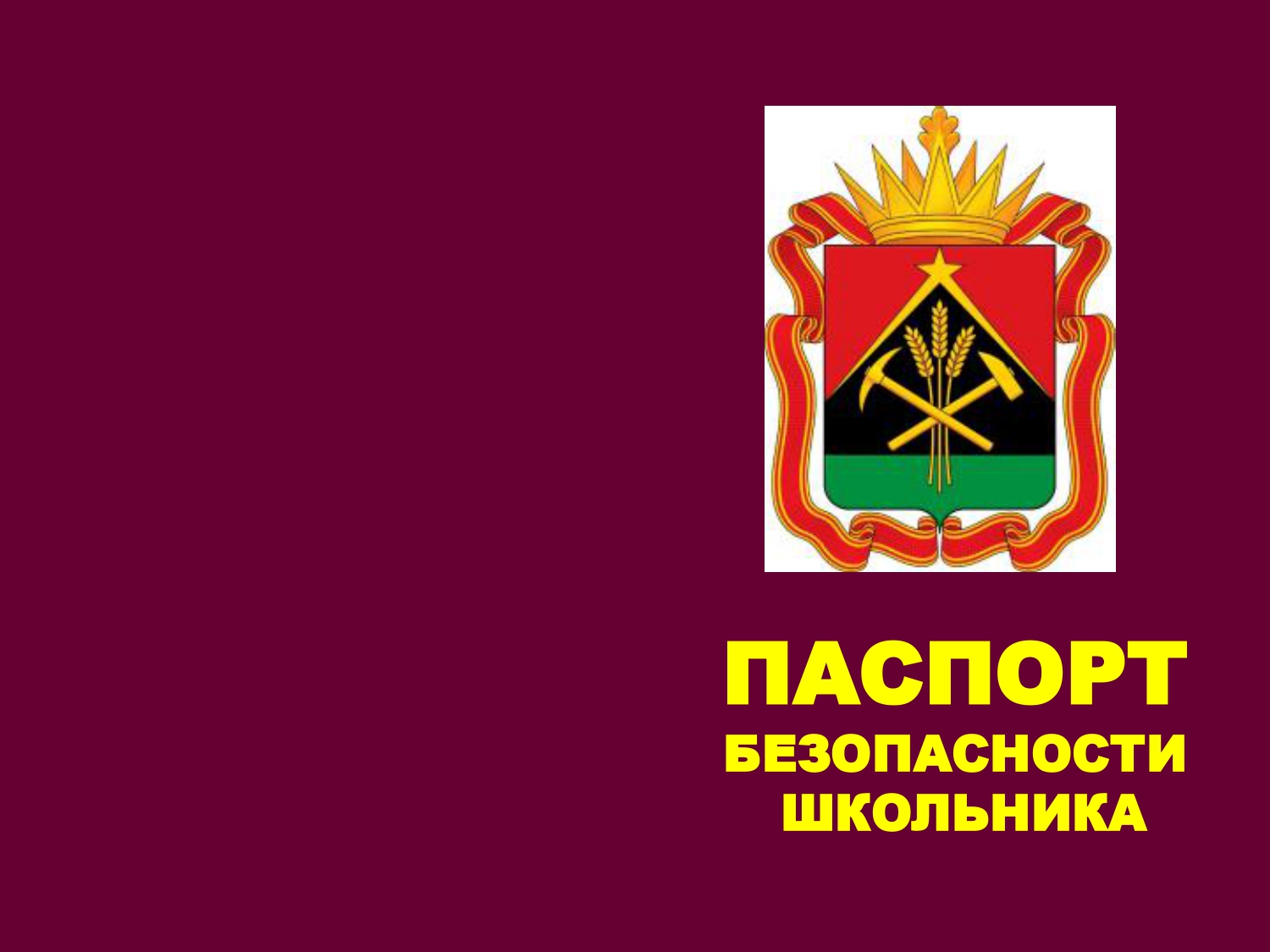 Паспорт безопасности школьника наш_page-0001.jpg